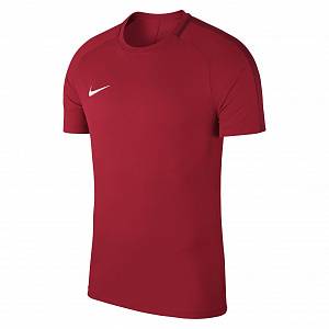 Футболка тренировочная Nike Dry Acdmy18 Top SS 893750-657 JR