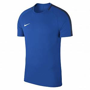 Футболка тренировочная Nike Dry Acdmy18 Top SS 893750-463 JR